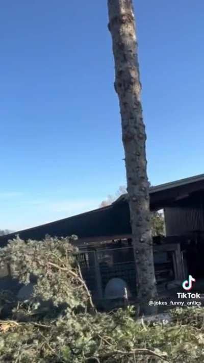 perfectly F***ing vertical