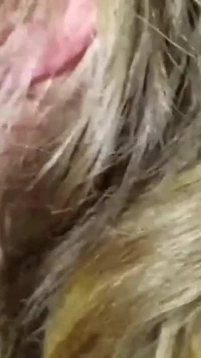 Amateur GIF by irl_gentleman