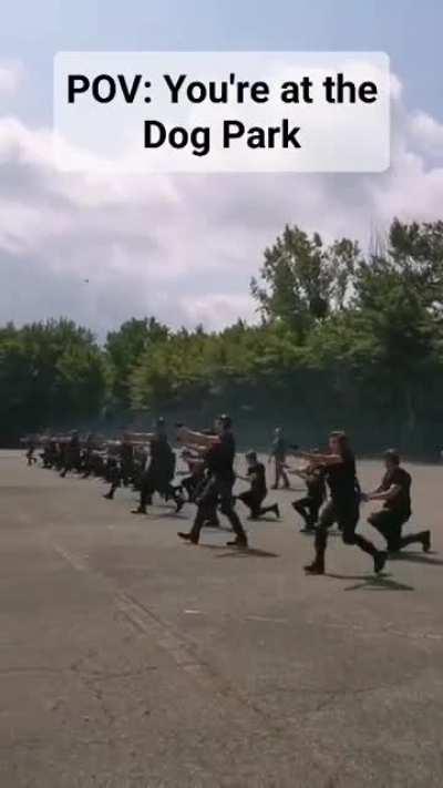 Leaked ATF Training Footage