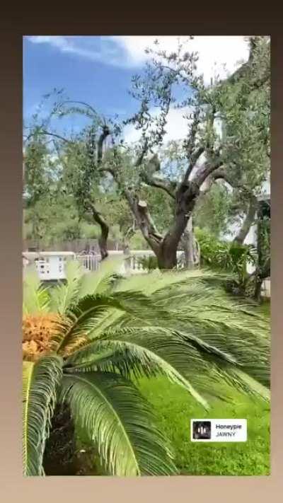 Summer, you have been missed