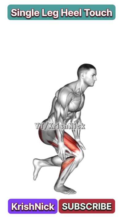 Single Leg Heel Touch Squats for Stronger Legs & Balance