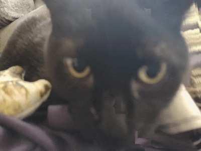 trying to get up for the first time after dosing like