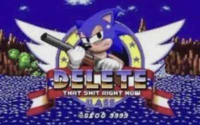 Pissed Sonic. 1K HP. Shotgun Deals 300 DMG. 5th Boss.