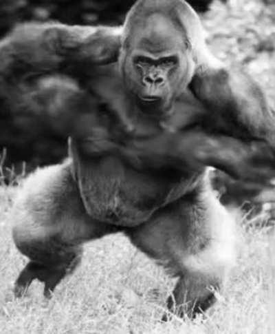 Just made this beautiful work of art