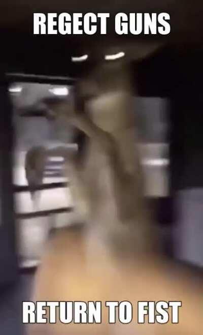 WhT the DEER BE PUCHINGING