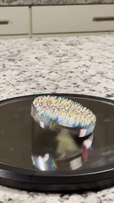 Euler’s disc (LONG)