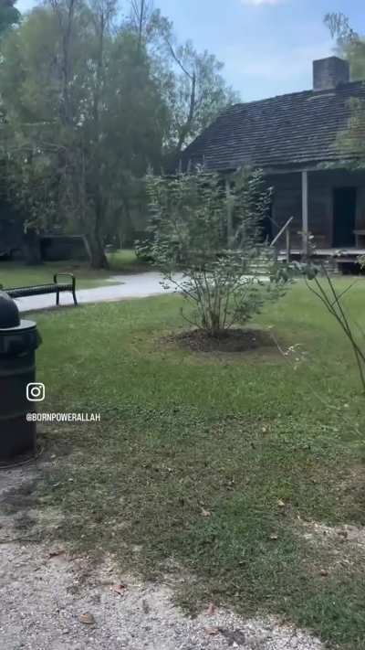 The Whitney Plantation