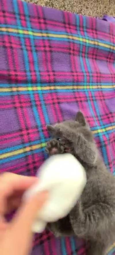 Cute little criminal wants to play again 🥰