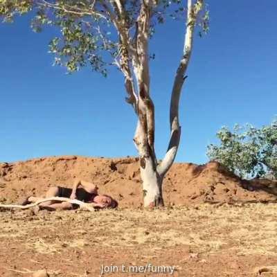 HMBCs while I showoff.