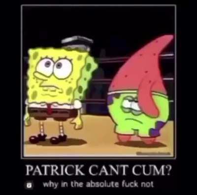 why in the absolute fuck not