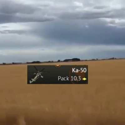 War Thunder community in a nutshell: