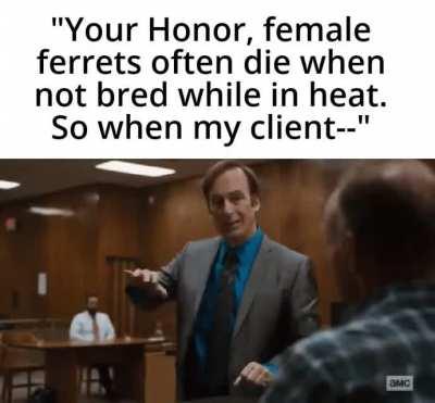 My client is a good Samaritan 😡😡