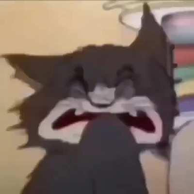 Thanks I hate Tom and Jerry now