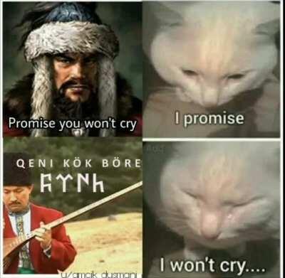 Fck ottogay where are my real Turks at?Where are they...