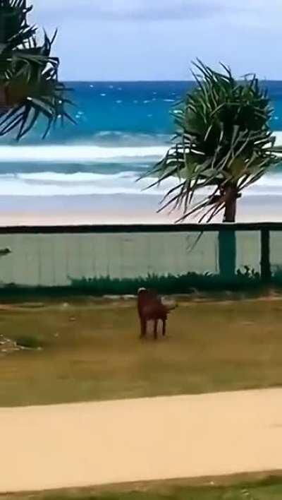 Everyone is sometimes crazy