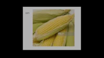 corn (ORIGINAL)