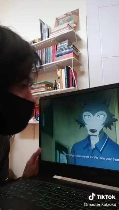 This isn’t mine but this is how I got in to beastars