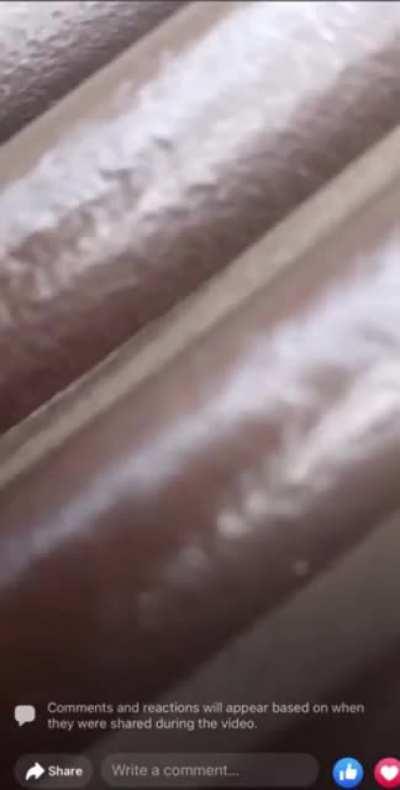 People slowly realizing what was happening in Highland park today