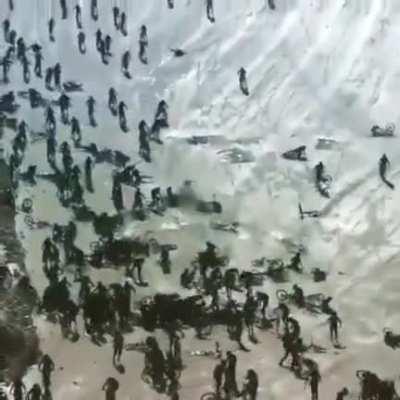WCGW riding bikes down a glacier .