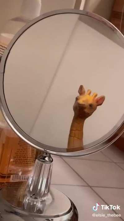 I&rsquo;m so fucking drunk