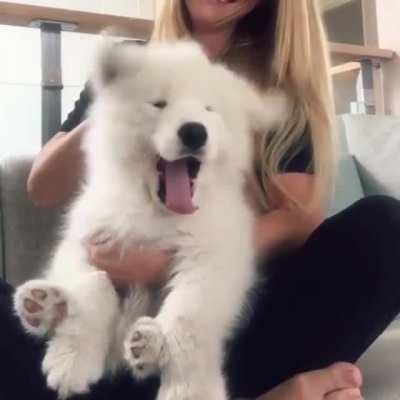 Possibly been posted here but I thought it was cute