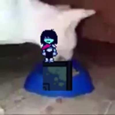 Kris would do anything to live this moment again and again