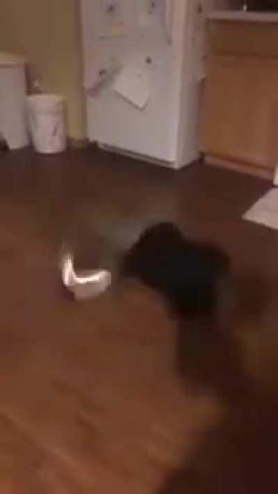 Spinning, spinning, spinning...