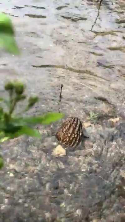 Morals under the water