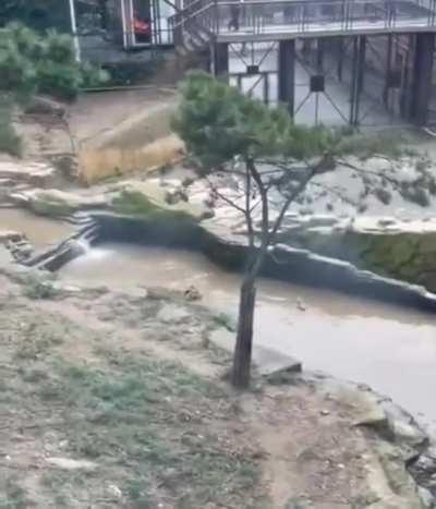 Я и баг на проде