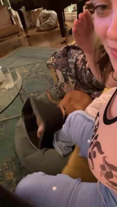 Billie Eilish slapping her tits on instagram