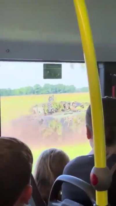 Hans stop showing off