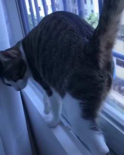 A perfectly catculated pivot