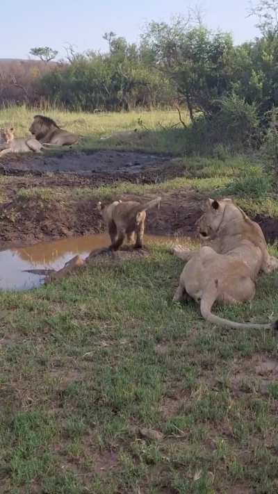 EviL mOtHeR dRoWnS oWn FuCkiNg cHiLd WhiLe HoRriFiEd FaMiLy WaTcHeS!!!