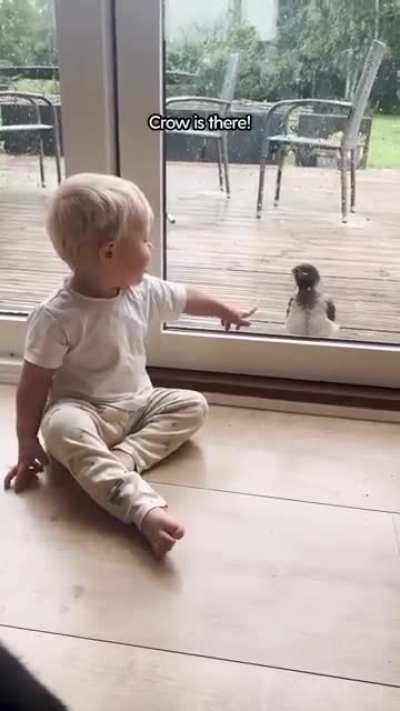 Tiny Dane tries to learn his language - accidentally attracts local fauna instead