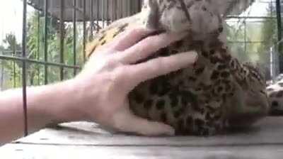 Don't stop, please...