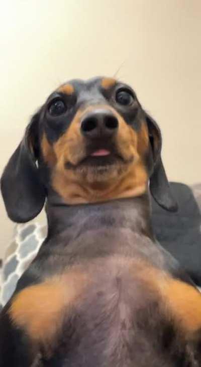 I think mine is broken…