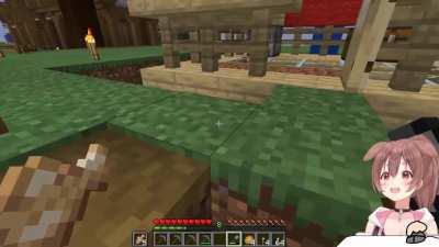 Korone Discovers How To Make Paved Path