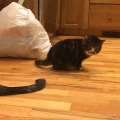 He'll never see this attack coming ...