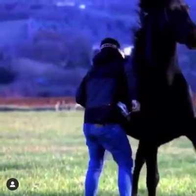 This is a drone racer hit by a horse