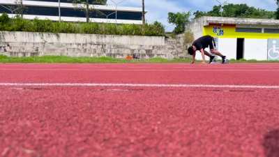 Form feedback and advice