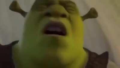 Thanks I hate Shrek having a good time with Boog