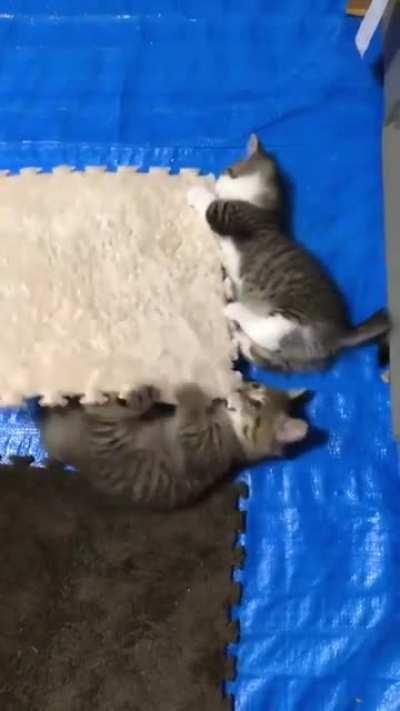 Smol interior decorators