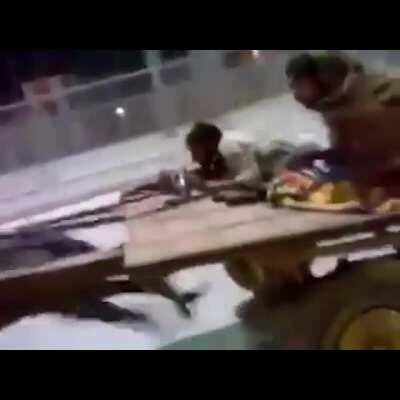 The fastest horse on the earth!