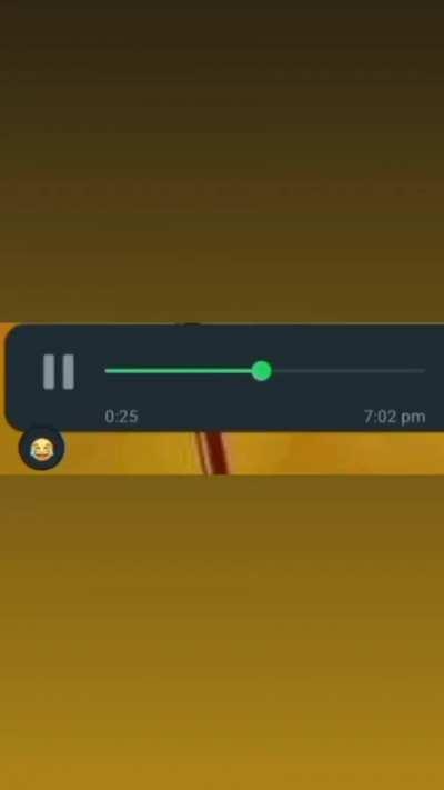 Doraemon Urdu Adaptation