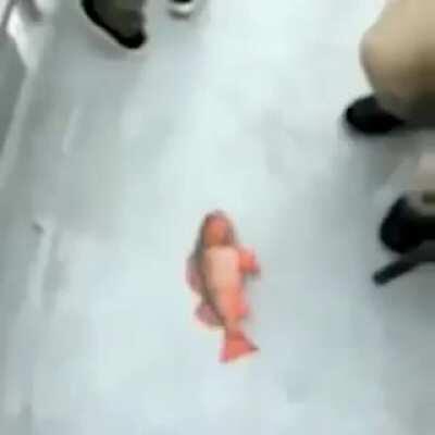 Era: 2000+(?), Genre: Rap(?), Artist Type: Male singer(?)