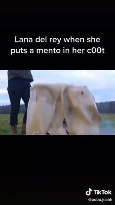 Which one of y’all made this?