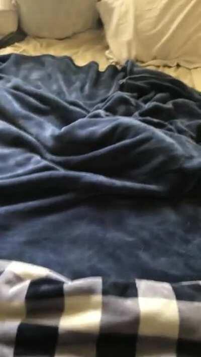 I would like to introduce, Ozzy. My derpy 9 week old pup!