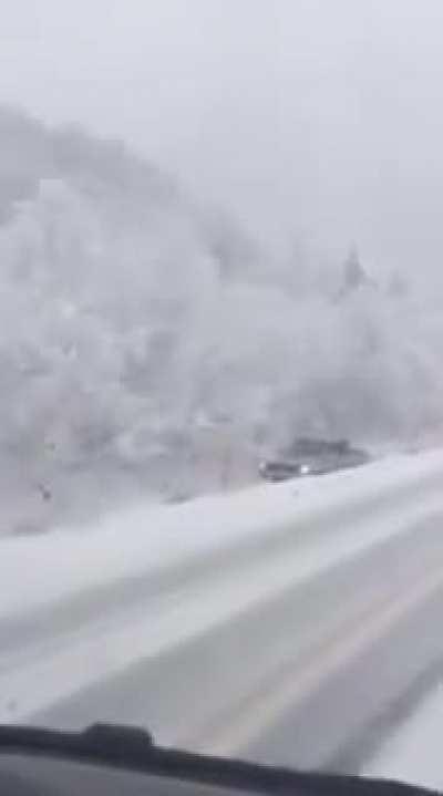 Driver records accident while saying 