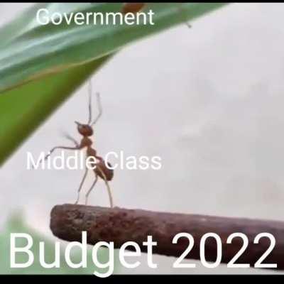 Budget 2022