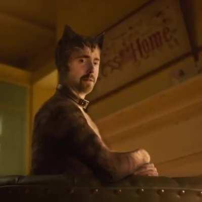 What have u done lol catmongold